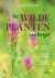 Annelies Jacobs - De wilde planten van België