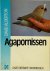 Alderton - Agapornissen