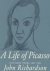 A Life of Picasso