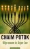 Chaim Potok - Mijn naam is Asjer Lev