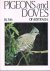 Pigeons and Doves of Australia
