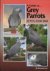 A Guide to Grey Parrots as ...