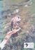 Nicholls, M.K.  R. Clarke (editors) - Biology and Conservation of Small Falcons: Proceedings of the Hawk and Owl Trust Conference