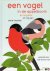 CRAUSAZ, Anne - Een vogel in de appelboom, en nog een, en nog een
