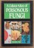 BRESINSKY, ANDREAS  HELMUT BESL. - A Colour Atlas of Poisonous Fungi: A Handbook for Pharmacists, Doctors, and Biologists.
