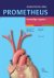 Prometheus anatomische atla...