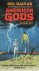American Gods  The Tenth An...