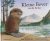 Kleine Bever en de echo