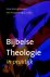 Bijbelse Theologie In De Pr...