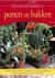 Creatief met planten in pot...