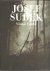 Josef Sudek - Mionsí Forest...