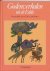 D. Lindholm & J.C. Ebbinge Wubben & J. Verheyen - Godenverhalen uit de Edda