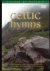  - Celtic Hymns