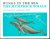 Lois King Winn, Howard Elliott Winn - Wings in the sea : the humpback whale