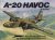 A-20 Havoc in Action (AIRCR...