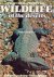 Wildlife of the deserts