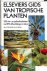 Lotschert, W., G. Beese - Elseviers gids van tropische planten. 323 sier- en gebruiksplanten met 274 afbeeldingen in kleur.