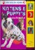  - Kittens & Puppy's
