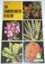 Herwig, Rob - 201 Kamerplanten in kleur