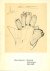 Bruce Nauman Drawings Zeich...