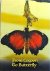 Nina - From Cocoon to Butterfly