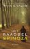 Irvin D. Yalom - Het raadsel spinoza