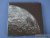Light, Michael / Chaikin, Andrew (essay). - Full Moon.