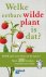 Welke eetbare wilde plant i...