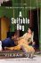 Vikram Seth - A Suitable Boy