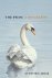 The Swan A Biography
