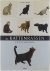 , - Kattenrassenencyclopedie