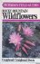 Craighead, John J. - A Field Guide to Rocky Mountain Wildflowers: Northern Arizona and New Mexico to British Columbia