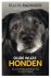 Oude wijze honden De verblu...