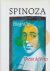 Theun de Vries - Spinoza