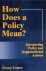 How Does a Policy Mean? Int...