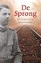 Eduard Jacob Rosen Jacobson - De sprong
