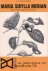  - AO boekje 1307 - Maria Sibylla Merian, vrouw tussen kunst en wetenschap - Wekelijkse studiereeks stichting IVIO