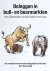 Beleggen in bull- en bearma...