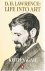 D.H. Lawrence: Life Into Art