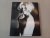 Sanne Sannes - Vintage Phot...
