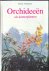 Orchideeën als kamerplanten