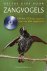 Deltas gids voor zangvogels...