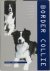 Border Collie. Aanschaf, ve...