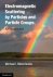 Michael I. Mishchenko - Electromagnetic Scattering by Particles and Particle Groups