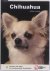 Adriaan Louwrier - Over Dieren - Chihuahua