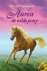 Christine Linneweever - Gouden paarden - Aurea, de wilde pony
