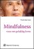 Thich Nhat Hahn - Mindfulness