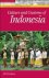 Culture And Customs of Indo...