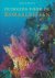 A. Mojetta 65548 - Duikgids voor de koraalriffen