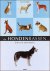 De Hondenrassenencyclopedie